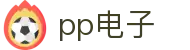 pp电子(中国)股份公司官网